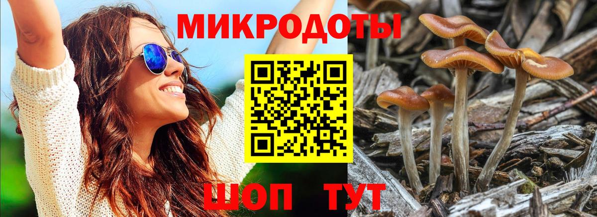 Псилоцибиновые грибы GOLDEN TEACHER  Вход с VPN  Истра  Галлюциногенные грибы MAGIC MUSHROOMS 