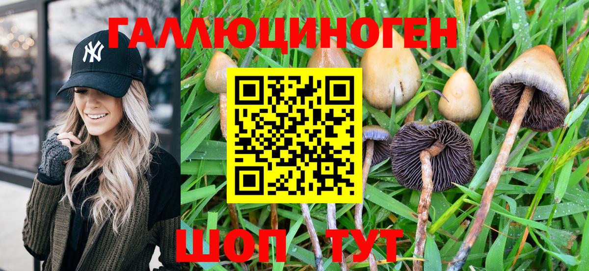 Галлюциногенные грибы MAGIC MUSHROOMS Истра